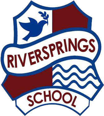 Riversprings School Provides Access To Quality Education - River Springs Charter School (400x400)