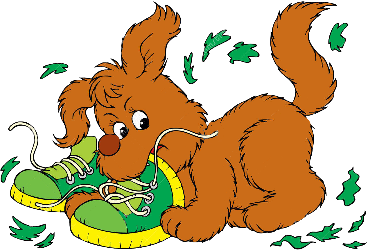 Border Collie Pit Bull Chihuahua Puppy Clip Art - Border Collie Pit Bull Chihuahua Puppy Clip Art (1720x1517)