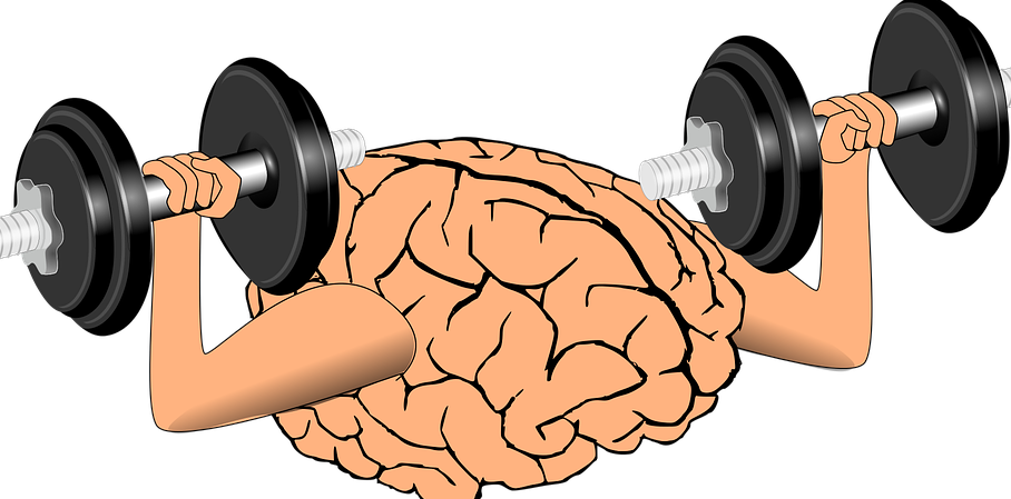 Gkjkbwef - Brain (908x449)