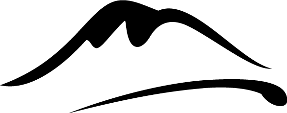 Vch Symbol In Black - Symbol (587x231)