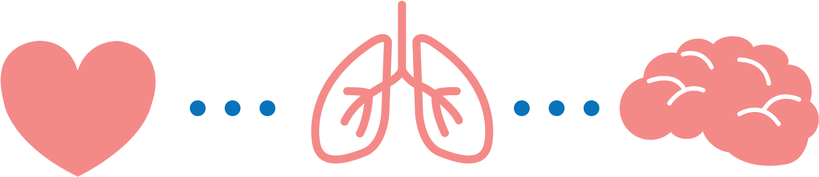 Exercise Affects The Brain On Multiple Fronts - Corazon Pulmones (1600x361)