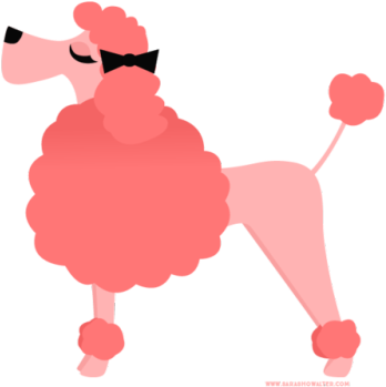 Pink Poodle - - Png Poodle (500x431)
