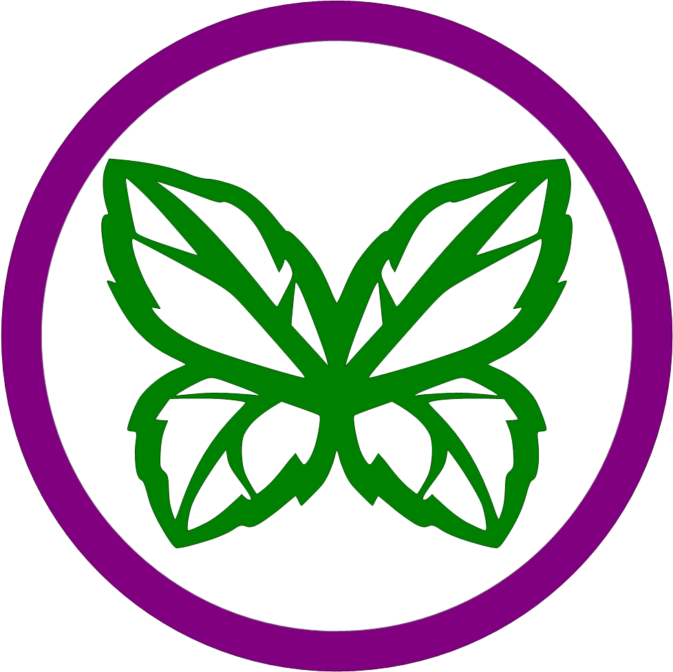 Fairy Expansion Pack - Expansion Pack (1009x1009)