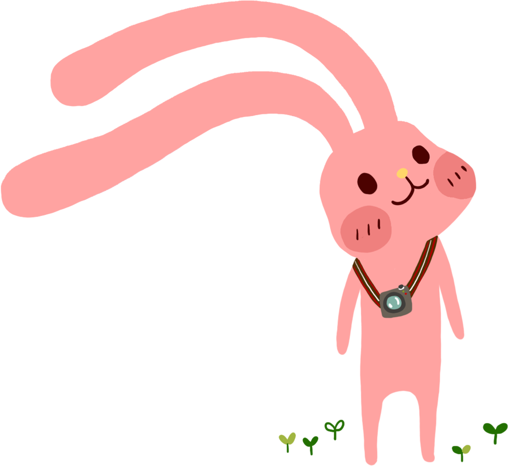 Cute Little Bunny 1000*1000 Transprent Png Free Download - Cute Little Bunny 1000*1000 Transprent Png Free Download (1000x1000)