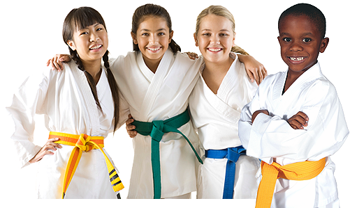 Martial Arts And Fitness - Taekwondo (501x299)