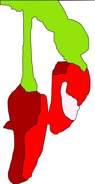 Free Vector Chillies Clip Art - Vector Graphics (306x592)