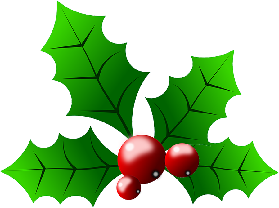 Common Holly Christmas Clip Art - Common Holly Christmas Clip Art (1000x684)