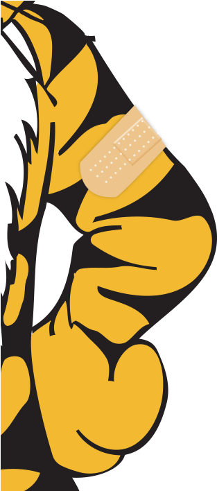 Earn Your Stripe And Get Your Flu Shot - Stockdale Missouri Tigers 6x12 Full Mascot Decal (360x1200)