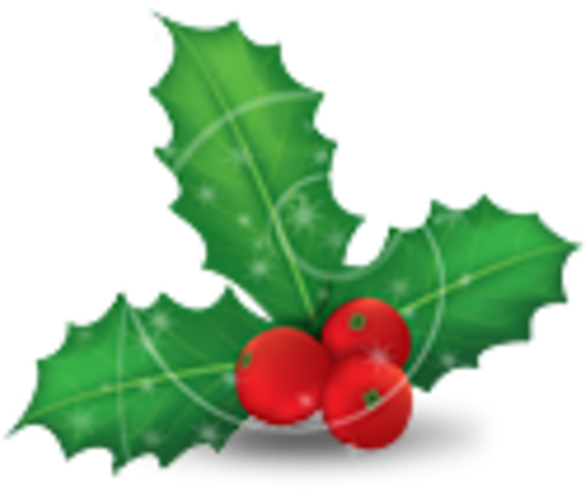 Mistletoe Phoradendron Tomentosum Christmas Common - Mistletoe Phoradendron Tomentosum Christmas Common (600x600)