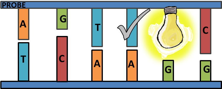 When - Graphic Design (761x355)