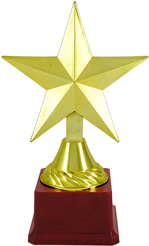 Bt-1493 Star Shaped Trophies - Trophy (308x500)