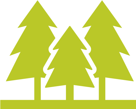 Cromwell Valley Park - Forest (500x500)