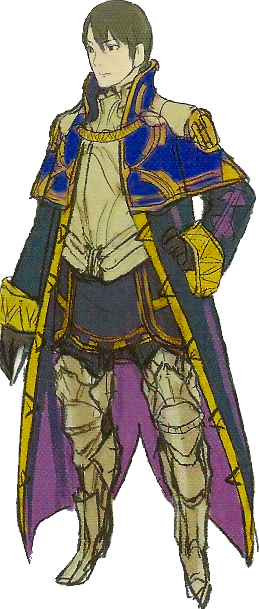 Grandmaster Robin Fire Emblem Wiki Fandom Powered By - Fire Emblem Awakening (516x1212)