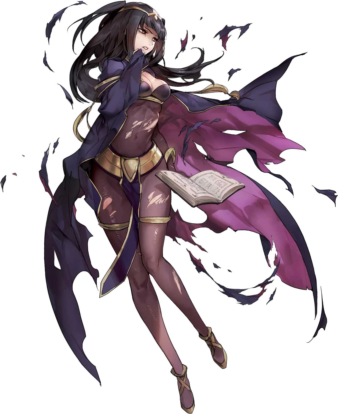 Image - Fire Emblem Heroes Damage (1684x1920)