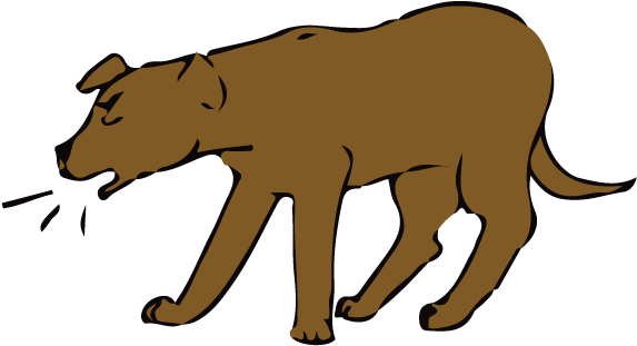 Kennel Cough (576x360)