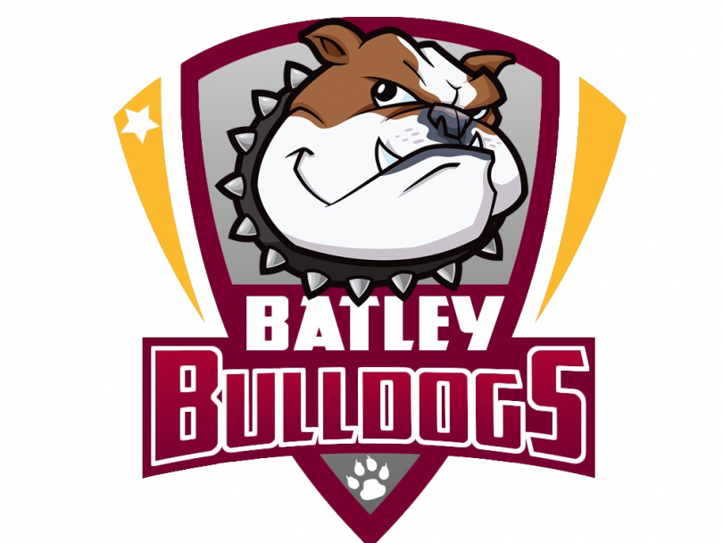 Batley Bulldogs (810x608)