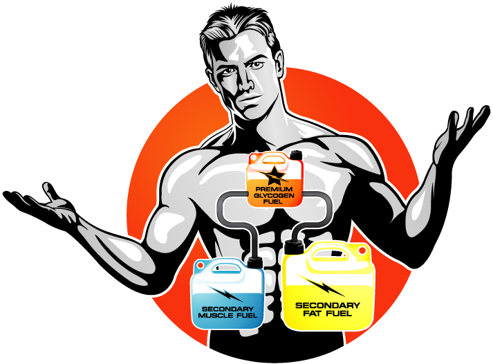 Glycogen And Intermittent Fasting - Quora (713x526)