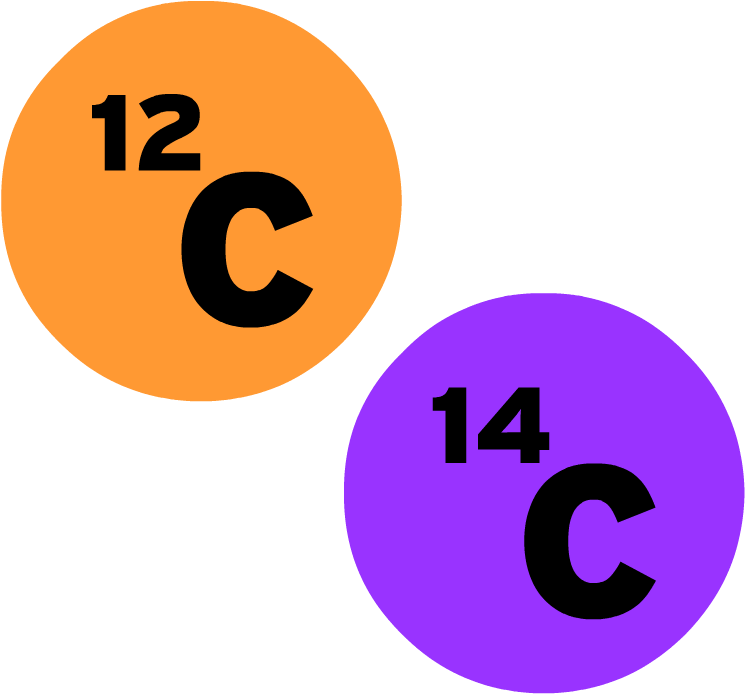 Isotopes - Science (880x880)