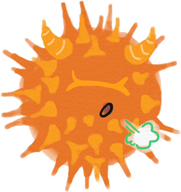 Double Down With Cough Suppressant - Illustration (1054x1070)