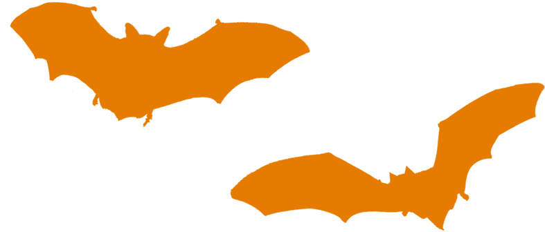 The Simple Life - Orange Bat Png (869x414)