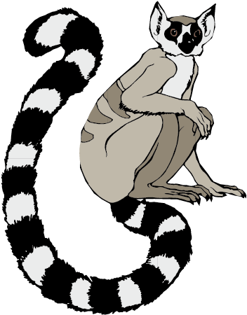 Monkey Ear Computer File - Long Tail (842x596)