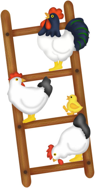 Poules - Chicken (309x610)