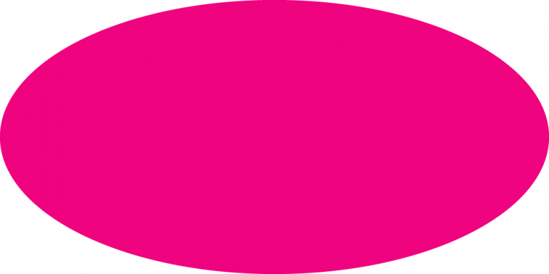 Pink Oval Shape Clipart - Purple (800x400)