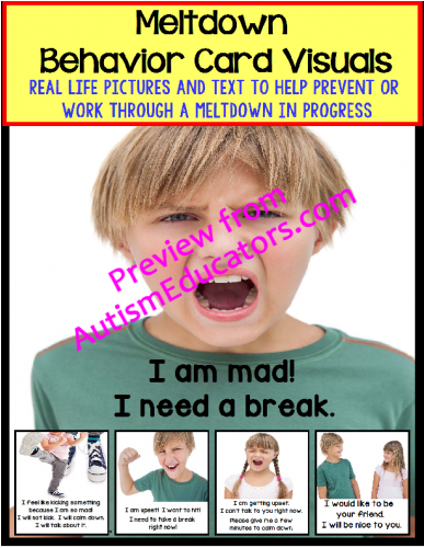 Autism Social Skills - Social Skills Flash Cards (500x500)