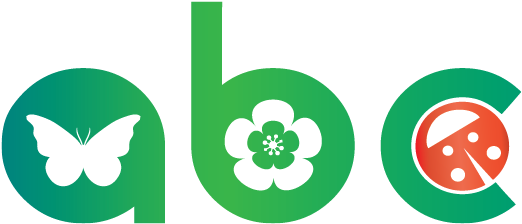 Abc International Pre School And Kindergarten - Abc International Nursery And Pre-school (543x243)