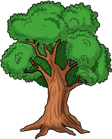 Enhance Plantation Development - Oak (371x466)