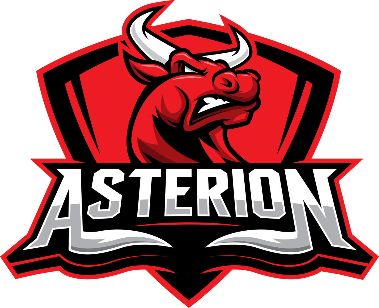 Name - Asterion Csgo (1250x1016)