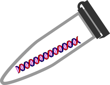 How Much Pcr Product Does One Get From A Typical Pcr - Pcr Tube Clipart (466x360)