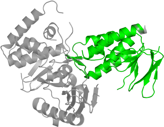 <div Class='caption-body'>1 Copy Of Cath Domain < - Illustration (800x800)