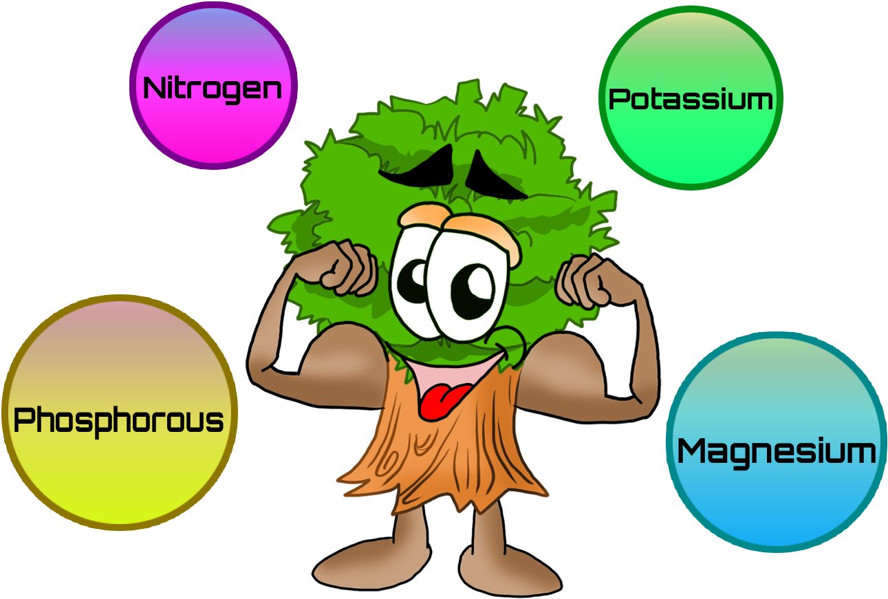 Click On Each Of The Nutrients To View Details - Nutrients For Plants Clipart (1291x871)