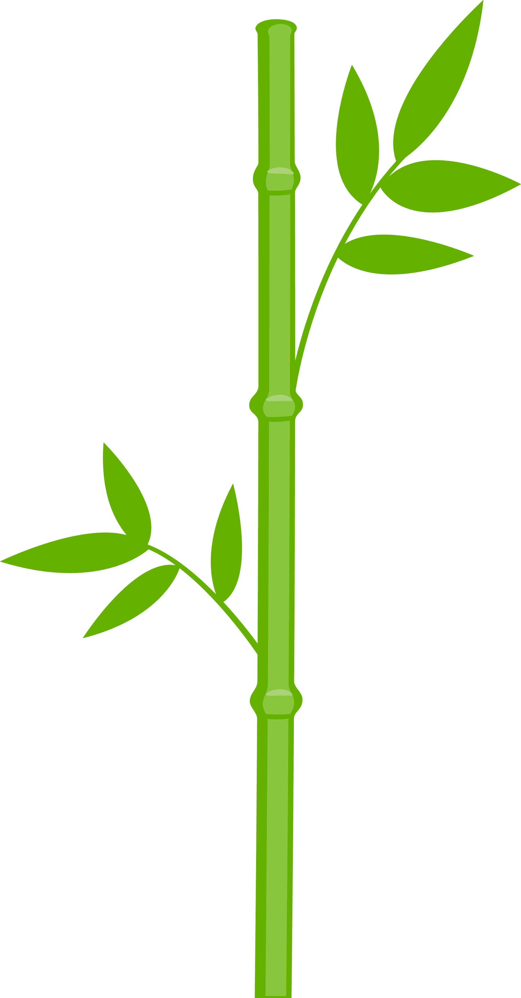 Panda Bear - Bamboo Png (2181x4179)