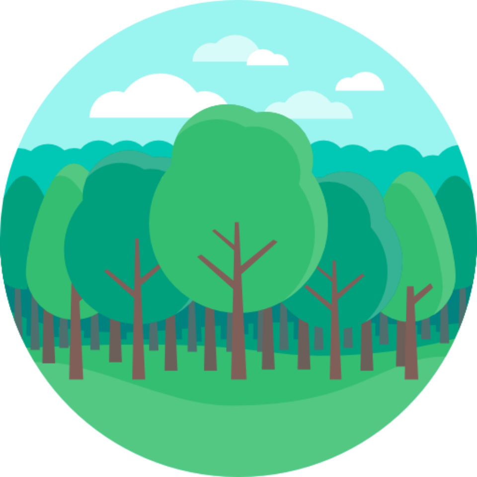 Safe And Fun Swing For Trees - Tree Flat Icon (960x960)