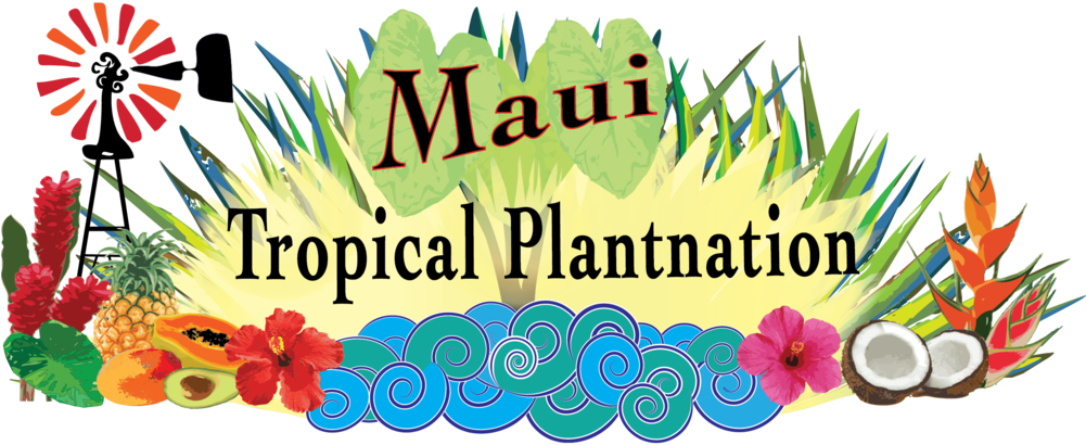 Maui Tropical Plantation - Maui Tropical Plantation (1282x865)