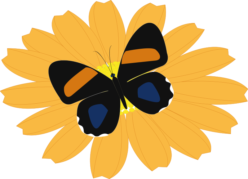 Get Notified Of Exclusive Freebies - Butterfly On Flower Shower Curtain (800x577)