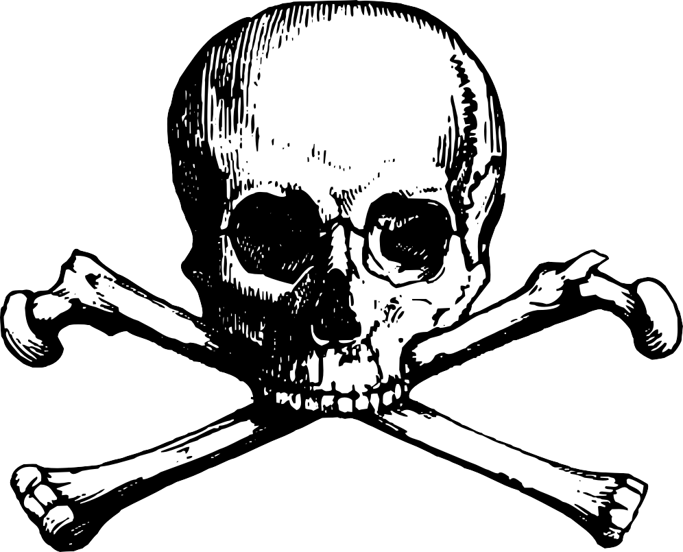 Tgif T Clipart Free - Skull And Crossbones Png (996x805)