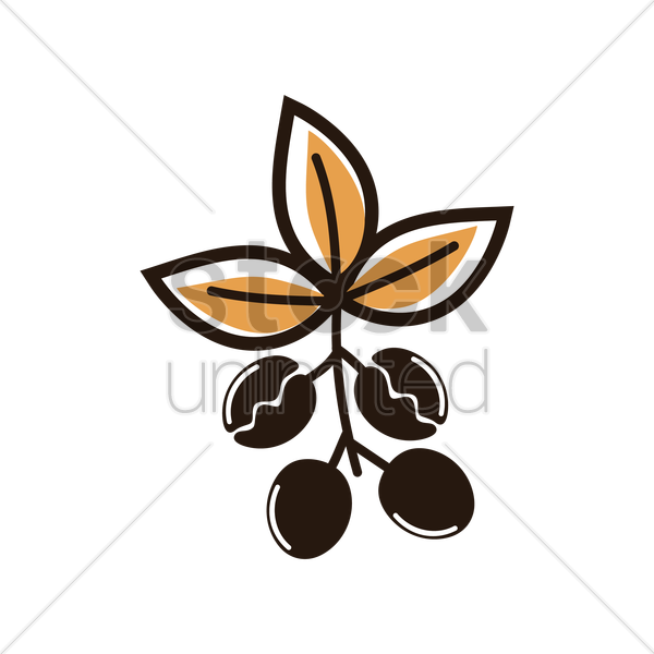 Coffee Plant Clipart Vector Png - Coffee Bean (600x600)