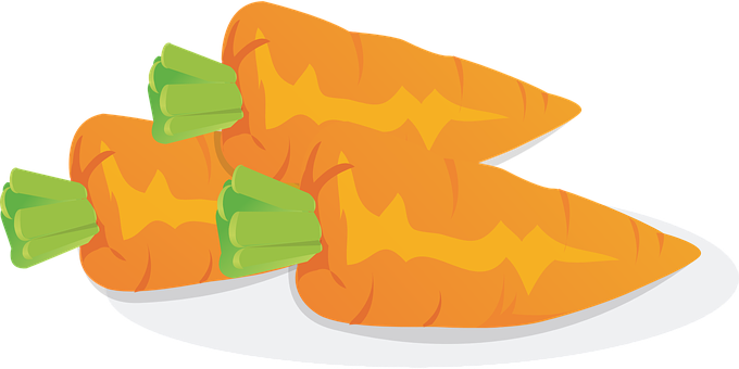 Gerbils Eat Fruits And Vegetables - Vegetable Vector (1508x750)