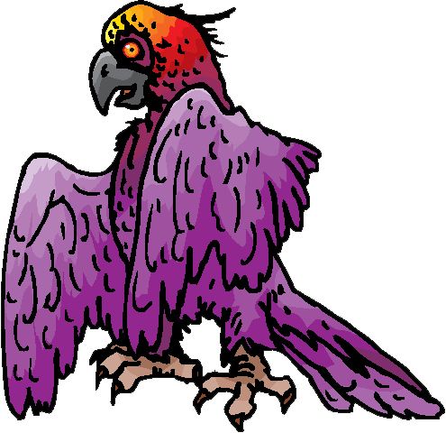 Dead Ahead, Through The Pitch-black Night, The Captain - Macaw (495x480)