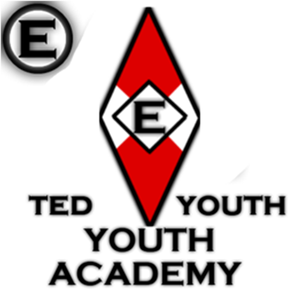 The Excellion Division Youth Academy - Copa America Argentina 2011 (420x420)