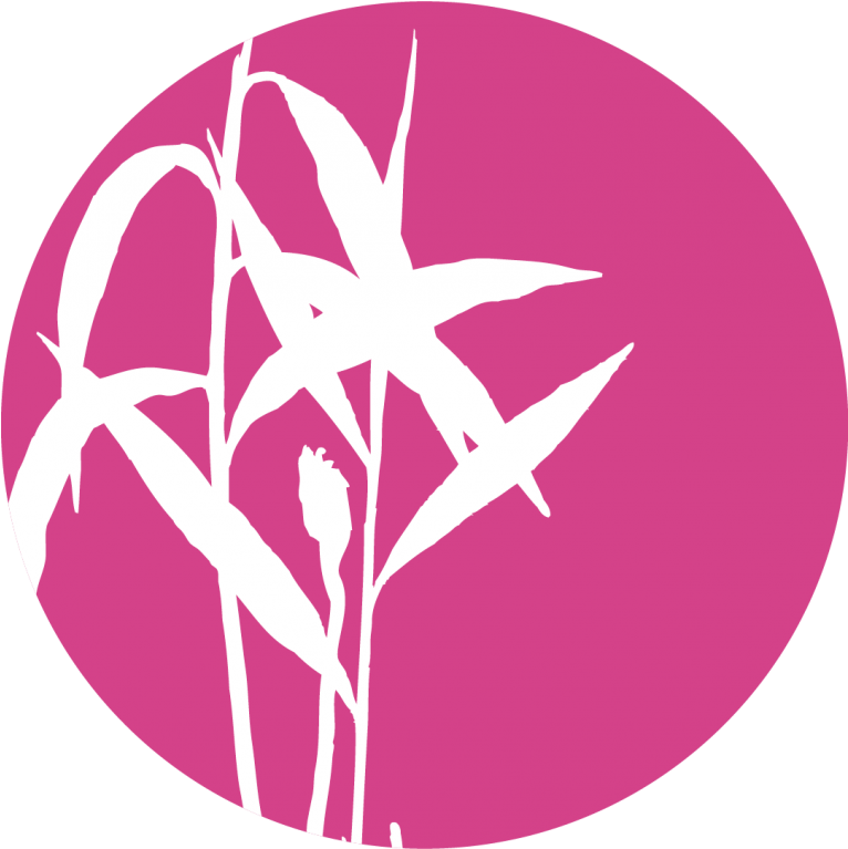 Viscum Album L - Holy Basil Pink Leaves (765x937)