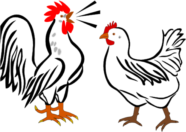 Rooster Clipart Chicken - Rooster And Hen Shower Curtain (640x480)