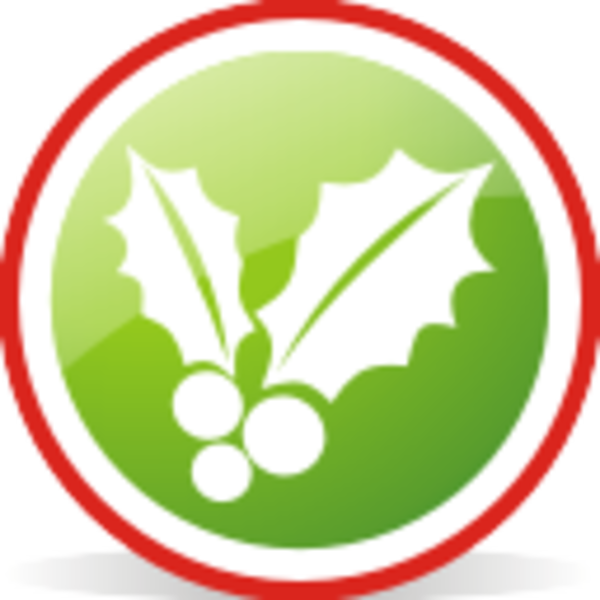 Christmas Mistletoe Rounded Free Images - Christmas Mistletoe (600x600)