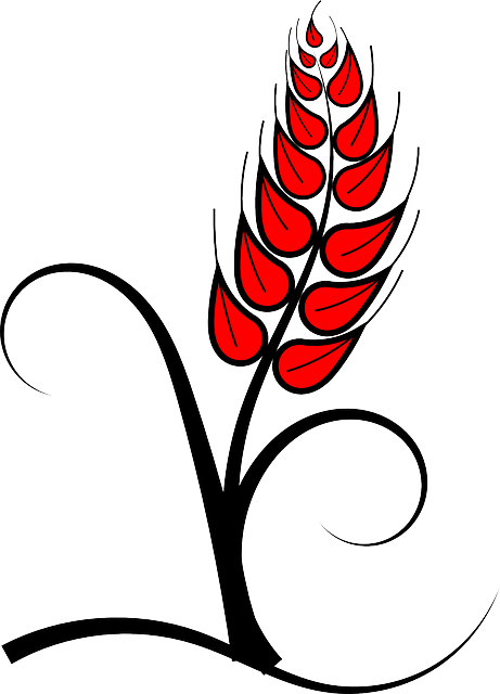 Corn Spica, Spike, Bread, Flour, Rye, Red, Wheet, Corn - Holy Comunion Icons (461x640)