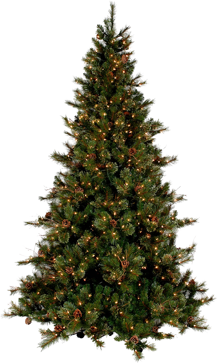 Christmas Tree Png Picture - Cheap Artificial Christmas Trees (750x1244)