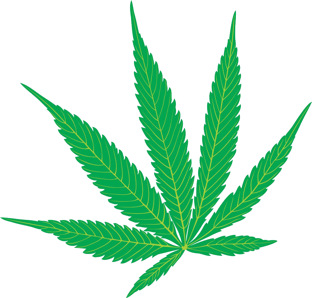 Cannabis Sativa Marijuana Hemp Clip Art - Cannabis Sativa Marijuana Hemp Clip Art (1000x954)