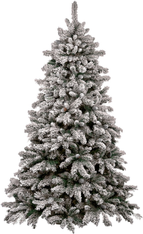 Christmas Tree Png - Christmas Tree Snow Png (894x894)